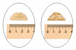 Ткань Пуговица пластик.№439(30*15мм) оптом и в розницу