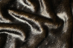 Фото 2 Ткань Мех Норки (имитация)