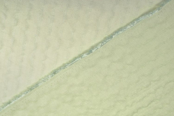 Фото 4 Ткань Тенсел блузочный Жаккард