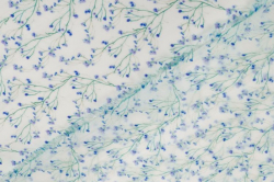 Фото 4 Ткань Тенсел рубашечный крэш