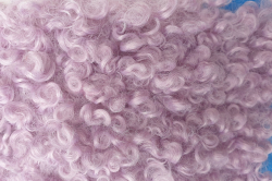 Мех Барашек Ткань Мех Барашек оптом и в розницу