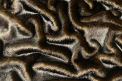 Фото 1 Ткань Мех Норки (имитация) гуртом та у роздріб